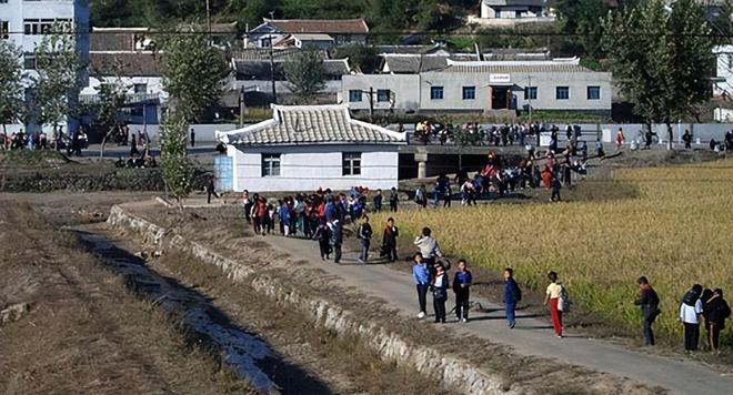 易倍体育网站：越南缺电求援我国！朝鲜明明也缺为何反倒向我国大量出口电力？(图2)