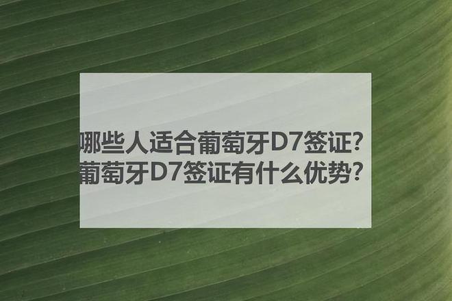 哪些人适合葡萄牙D7签证？葡萄牙D7签证有什么优势？(图1)