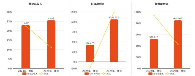 远翔新材(301300SZ)：2025年一季报净利润为170256万元(图1)
