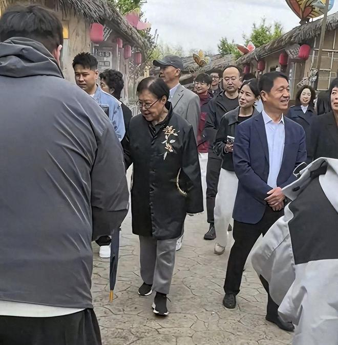 Emc易倍体育：75岁斯琴高娃回国生活现身农村老态尽显疑似秃顶雨伞当拐杖(图14)